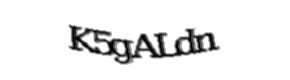 Security check image, please type the characters shown